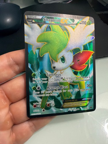 Shaymin confini - shaymin,