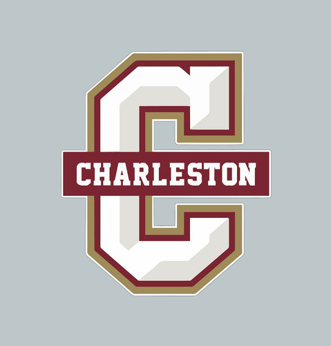 Adesivo logo charleston - -,