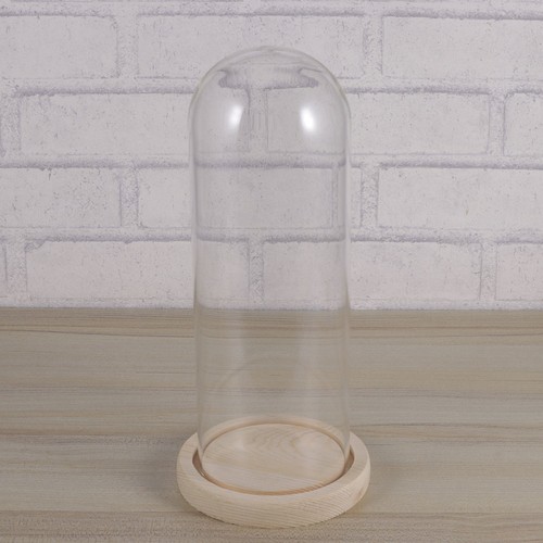 Base legno vetro campana - vetro,