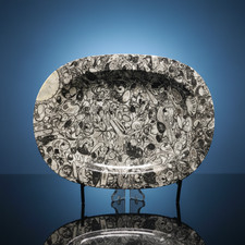 Amazing Goniatite Ammonite &