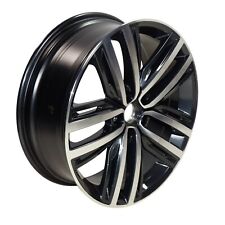 Cerchio In Lega AUCKLAND 19