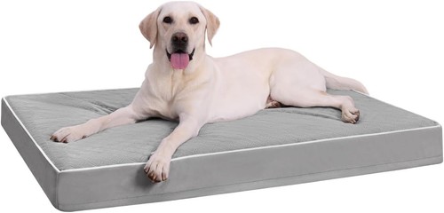 Cuccia cane interno taglia - interno,