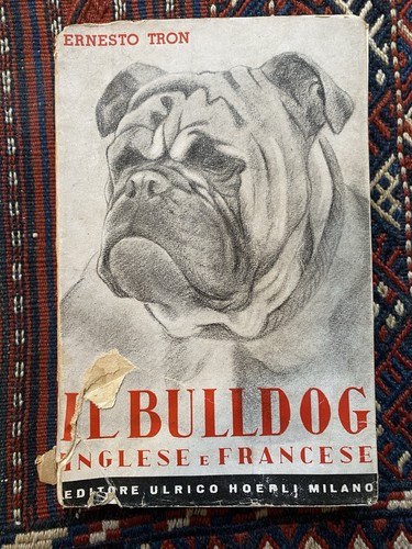 Bulldog inglese e francese - inglese,