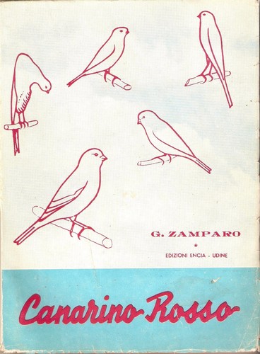 Zamparo canarino rosso - -,