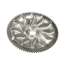 SEMIPULEGGIA PULEGGIA