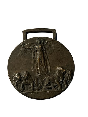 Medaglia grande guerra - 🤎,