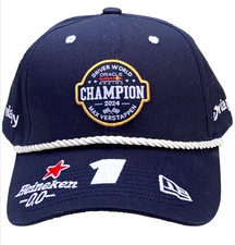 F1 Racing 2024 World Champion