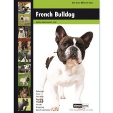 French Bulldog. (Dog Breed