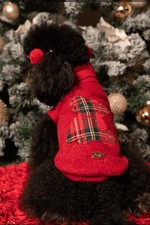 Maglioncino Per Cani Rosso  -