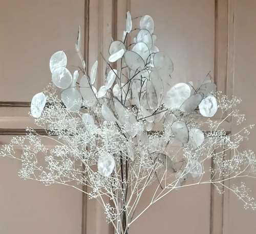 Semi lunaria medaglie o - 40,