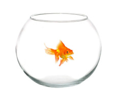 ACQUARI BOCCIA IN VETRO