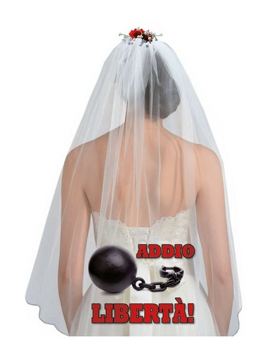 Velo sposa addio libertà - velo, libertà!