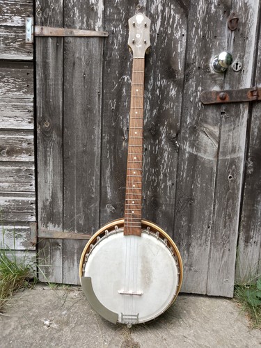 Stentor ozark weltton - ozark, plettro