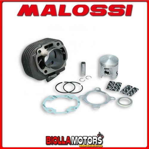 3113067 gruppo termico - termico, malossi