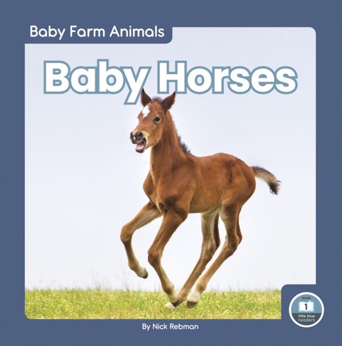 Baby horses nick - horses,