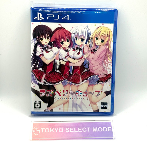 Videogioco ps4 raspberry cube - videogioco,