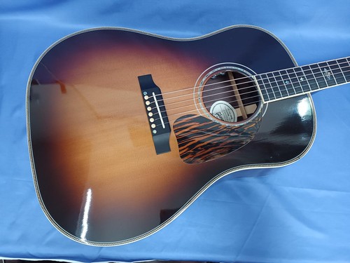 Chitarra elettrica acustica