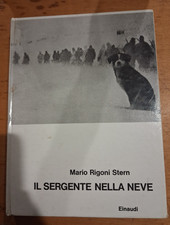 libro romanzo il sergente