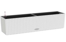 Scatola finestra LECHUZA