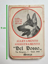 Monza Allevamento Cani Del Dosso Addestramento Pastore Tedesco Safodik Sapone