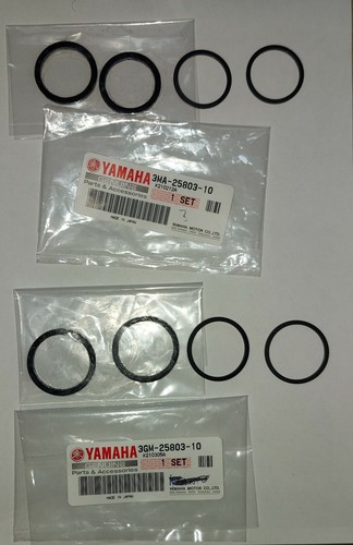 Kit revisione pinza - revisione, freno