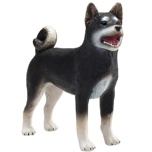 Mojo black shiba inu dog - mojo,