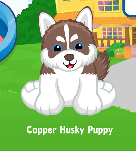 Webkinz copper husky cucciolo - husky,