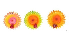 Posta Pro1 - Calamita Magnete