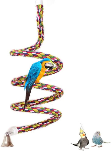 Uccello della corda bungee - uccello,