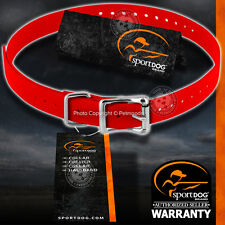 SportDOG SAC00-10822 Cinghia