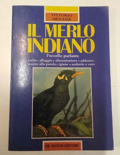 Merlo indiano - merlo,
