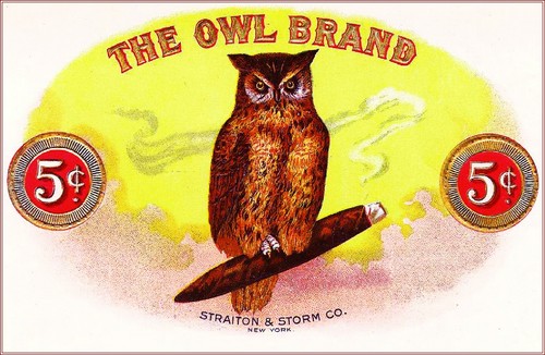 The owl bird smoke - bird, scatola