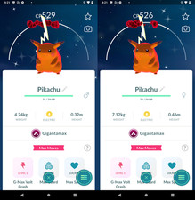 Shiny Pikachu Gmax | Mini