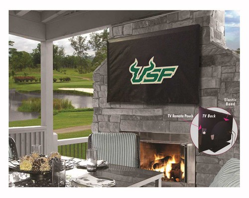 Ncaa copertina tv - tv, south