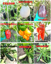 Semi di ortaggi melanzane, peperoni dolci, zucchine totale 50 semi