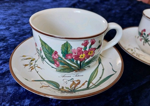 Villeroy boch botanica tazza - villeroy&boch*botanica*1,