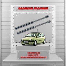 2 MOLLE A GAS BAGAGLIAIO