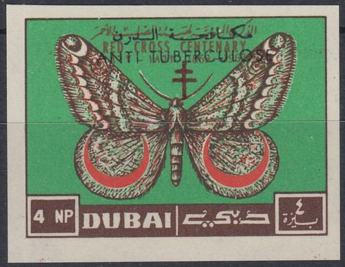 Dubai 1964 120 - dubai, lotta