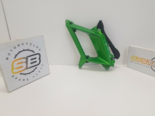 Carena sinistra kawasaki - sinistra,