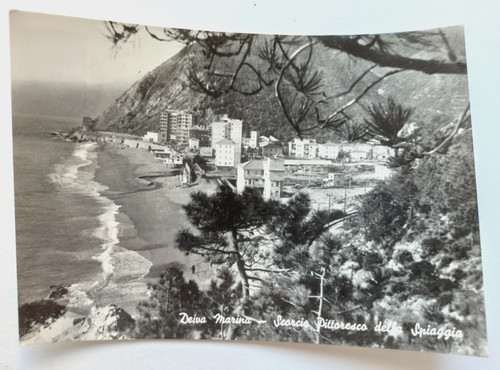 Deiva marina - (la,