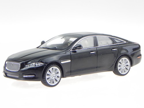 Jaguar amethist black - jaguar,