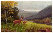 M. Freitag, Jagd, ,ca 30x20cm