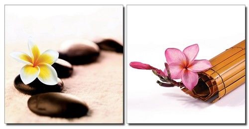 Set quadro pietre - , orchidea