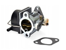 carburatore Tecumseh OHV110