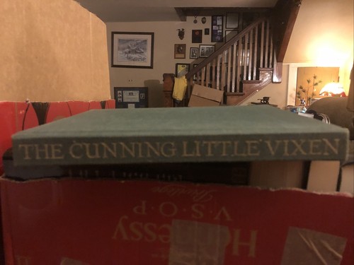 The cunning little - little, vixen