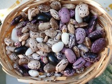 Fagiolo a bastoncino mix di