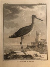 Caccia , ornitologia 1780