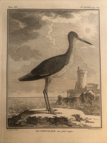 Caccia ornitologia 1780 - ,,