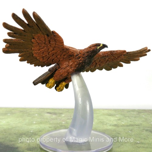 Wild shape polymorph aquila - wild, ~