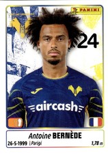 PANINI CALCIATORI 2025-26 2026
